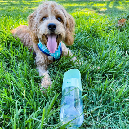 The Park Bottle