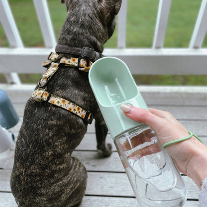 The Park Bottle